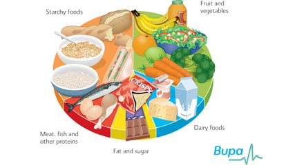 balanced diet 5 food groups