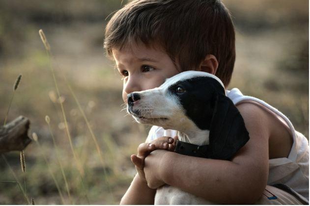 Niño con su perro